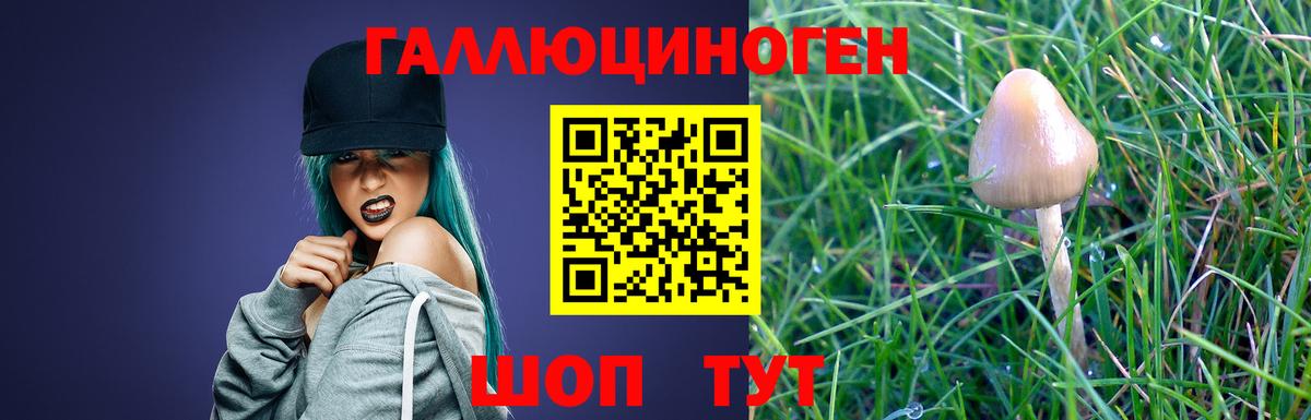 Галлюциногенные грибы Psilocybine cubensis Донецк