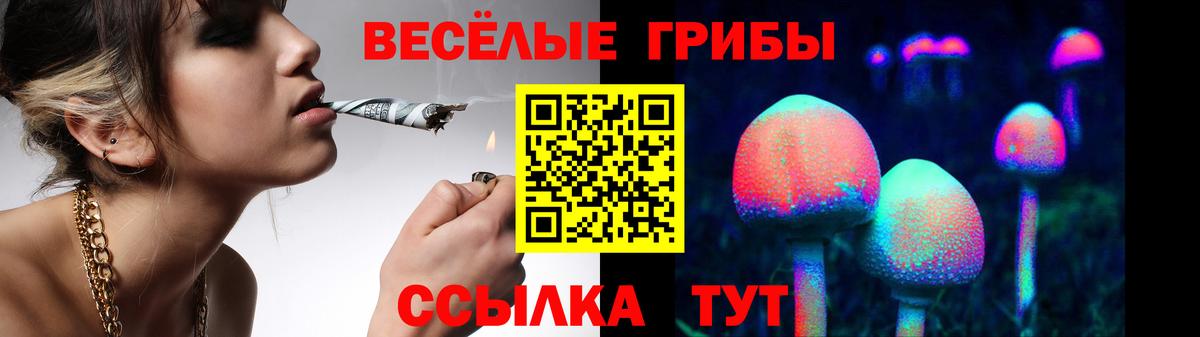 Галлюциногенные грибы MAGIC MUSHROOMS  купить наркотик  Донецк  Галлюциногенные грибы мухоморы  Вход с VPN 